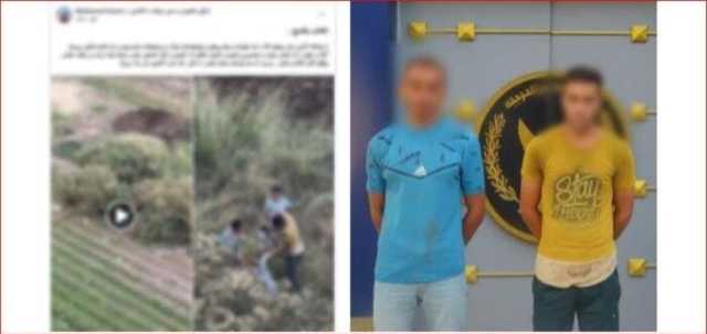 كشف ملابسات جمع شخصين لـ «الكلاب الضالة» في أجولة ببني سويف