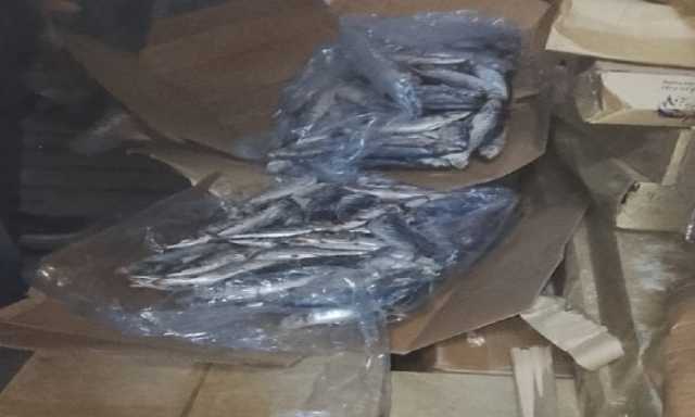 ضبط 35 طن سمك ماكريل وكبدة مجمدة غبر صالحة للاستهلاك الآدمي بكفر الدوا في البحيرة