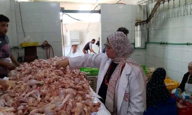 ضبط 15 طن دواجن مجمدة مجهولة المصدر خلال حملات تفتيشية بالشرقية