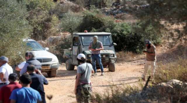 «مقاومة الجدار» الفلسطينية: 259 اعتداءً ضد قاطفي الزيتون منذ انطلاق الموسم