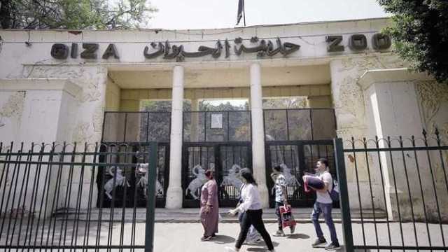 موعد افتتاح حديقة الحيوان بعد التجديد.. أسعار التذاكر للمصريين والأجانب