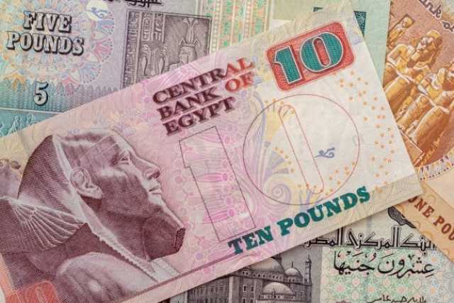 وديعة لمدة 7 أيام و أخرى شهر في 10 بنوك مصرية.. اعرف العائد كام؟
