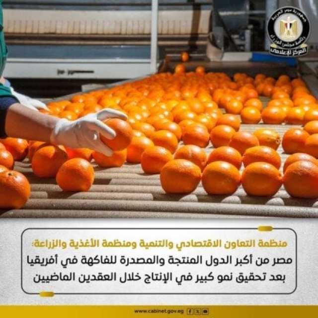 تقرير دولي: مصر شهدت نموًا كبيرًا في إنتاج الفاكهة خلال العقدين الماضيين
