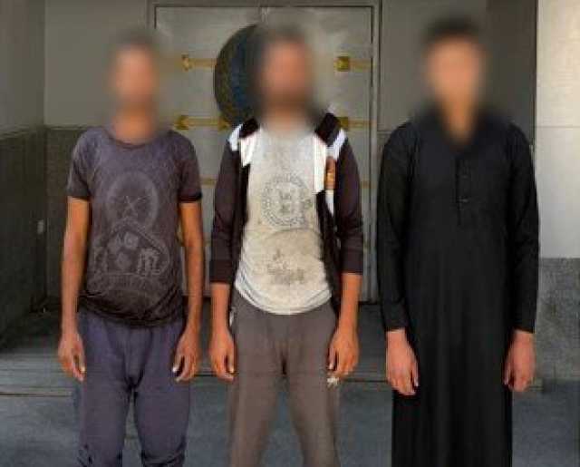ضبط 3 أشخاص اعتدوا على «كلب» باستخدام عصا في الدقهلية