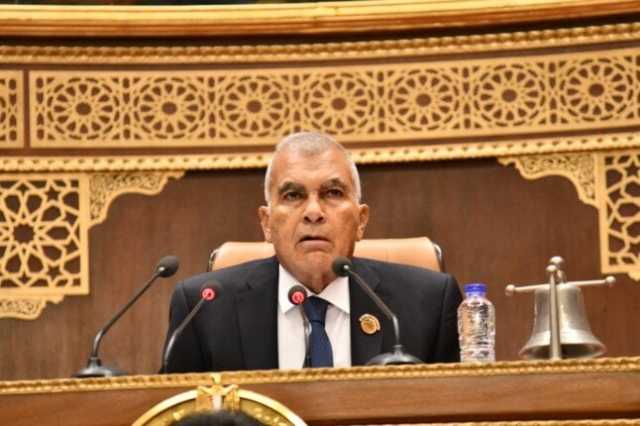 بدء انتخابات هيئات مكاتب اللجان النوعية بالشيوخ