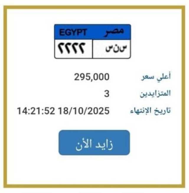 بـ 295 ألف جنيه.. طرح التزايد على لوحة سيارة مميزة | اعرف الخطوات