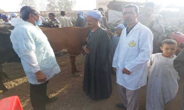 بيطري الأقصر يحصن 22 ألف رأس من الحيوانات ضد الأمراض الوبائية