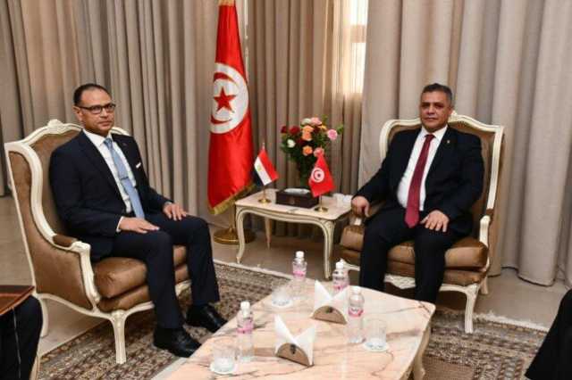 السفير باسم حسن يبحث تعزيز التعاون الثنائي مع وزير الداخلية التونسي