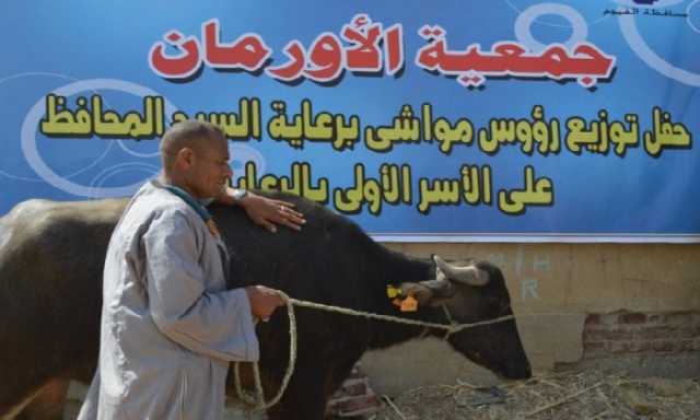 تسليم 9425 رأس ماشية للأسر الأولى بالفيوم