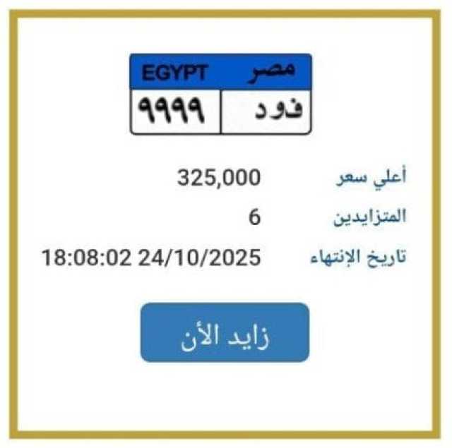 «بـ 325 ألف جنيه».. مزاد علني على لوحة سيارة مميزة