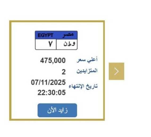 سعرها اقترب من النصف مليون جنيه.. خطوات التزايد على لوحة سيارة مميزة