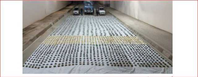 الداخلية تحبط محاولة لجلب وترويج مخدرات بـ 150 مليون جنيه في السويس