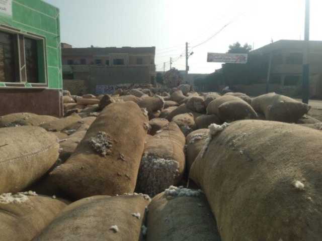 ضبط شونة لتخزين وبيع القطن بدون ترخيص في الشرقية