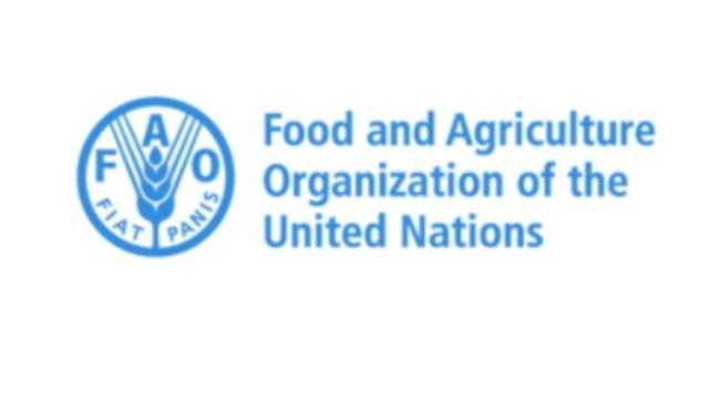 الأمم المتحدة تحذر ملايين الأرواح في خطر مع تفاقم أزمة الجوع في 16 دولة