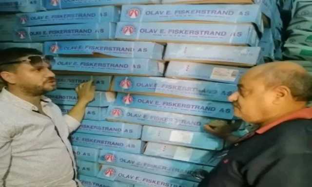 ضبط 10 طن أسماك مجهولة المصدر بالشرقية