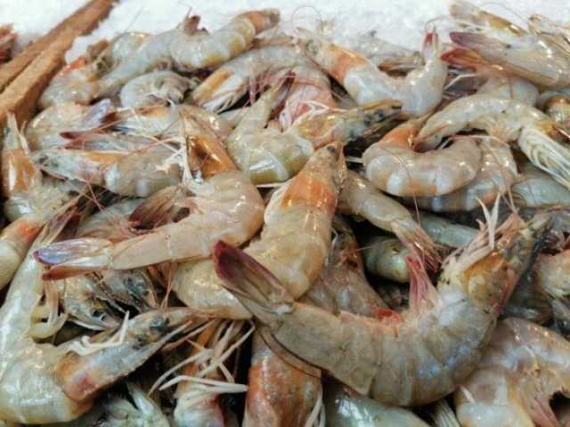 الجمبري بـ 1200 جنيه.. أسعار الأسماك اليوم الجمعة 28 نوفمبر 2025