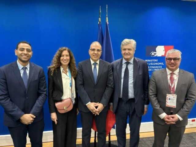 وزير الري يبحث مع الشركات الفرنسية التعاون في مجال تحلية المياه