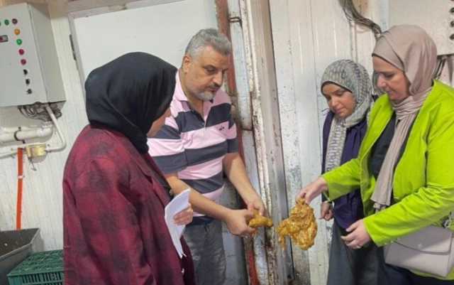 ضبط 5.4 طن دجاج وشاورما غير صالحة للإستهلاك فى الدقهلية