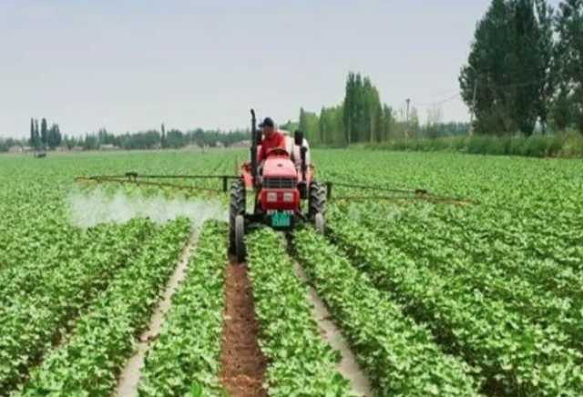 فقط في صعيد مصر… ذوو الهمم يقودون التنمية والتصنيع الزراعي وتنمية المجتمع المحلي