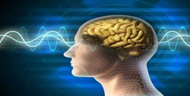 دراسة حديثة تكشف تأثير الصيام المتقطع على مخ الإنسان