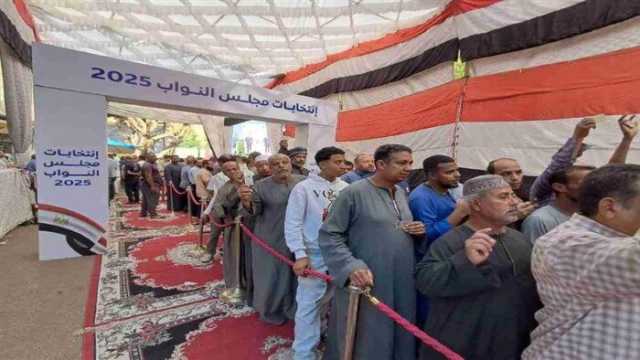 مشاركة كبيرة بمدينة أبو سمبل السياحية في انتخابات مجلس النواب 2025