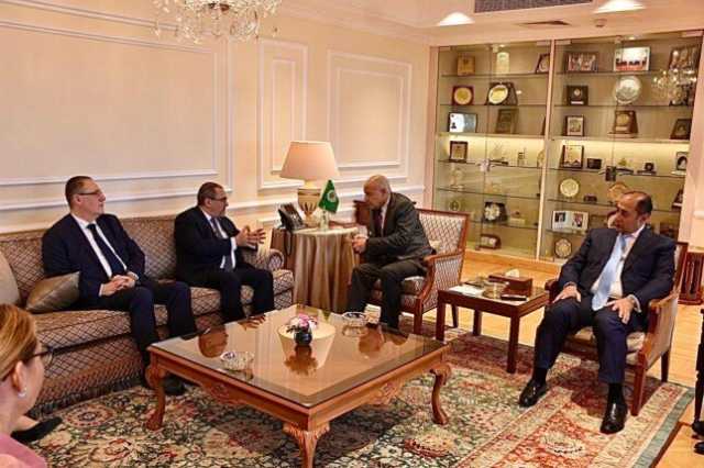 أبو الغيط يشدد على ضرورة استصدار قرار أممي يعيد إطلاق عملية السلام وفق المرجعيات الدولية