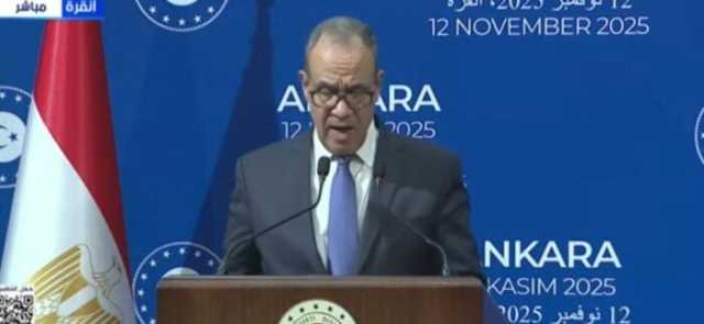 وزير الخارجية: نعزي تركيا في حادث سقوط الطائرة العسكرية