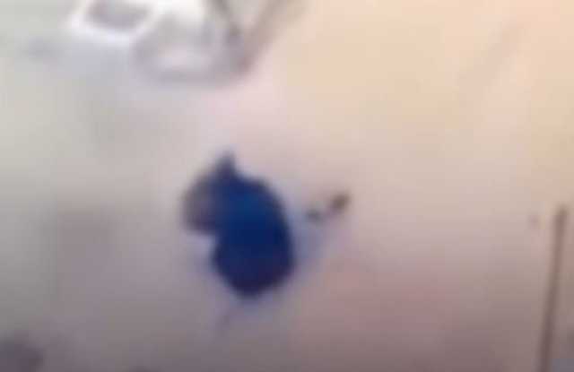 ضبط المتهمين بالاعتداء على آخر في البحيرة