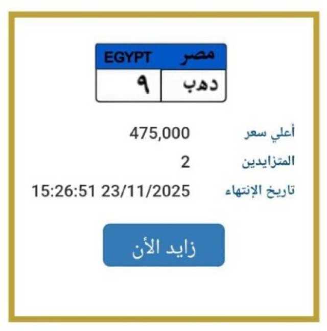 «دهب 9».. مزاد علني على لوحة سيارة مميزة | اعرف الخطوات