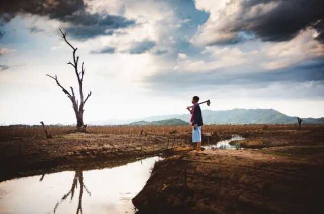 المنطقة تتجه نحو الهاوية المناخية.. «غرينبيس» تطالب بتحركات حاسمة في «كوب 30»