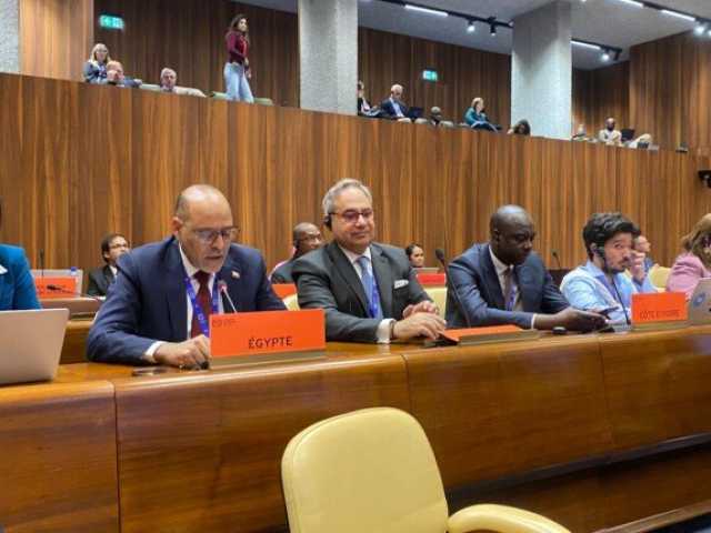 محمد جبران يشارك في مناقشة الوثيقة INS-7 حول «منظمة العمل الدولية»