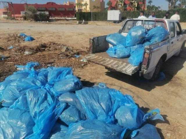 رئيس مدينة مرسى علم يضبط سيارة تلقي المخلفات في الطريق العام