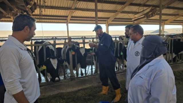 «الزراعة» تُحصّن أكثر من 2.2 مليون رأس ماشية ضمن حملتها القومية حتى الآن