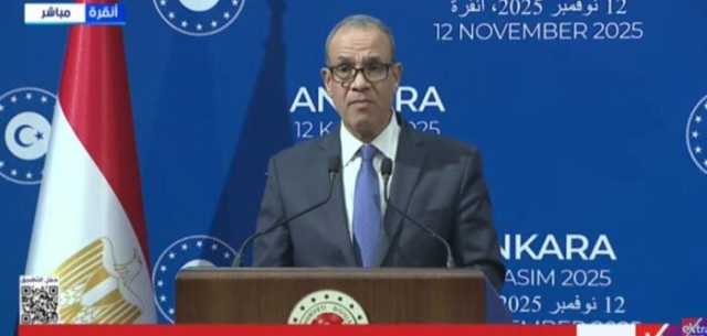 «عبد العاطي»: نتطلع لزيادة التعاون التجاري مع تركيا إلى نحو 15 مليار دولار خلال السنوات الخمس المقبلة