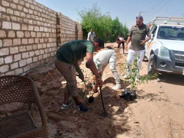 نحو '100 مليون شجرة'.. زراعة 94 شتلة جديدة في مطاي وسمالوط في المرحلة الرابعة بالمنيا