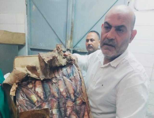 ضبط 2 طن أسماك ولحوم مجمدة مجهولة المصدر بالقليوبية
