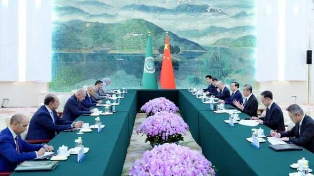 أبو الغيط يلتقي وزير الخارجية الصيني