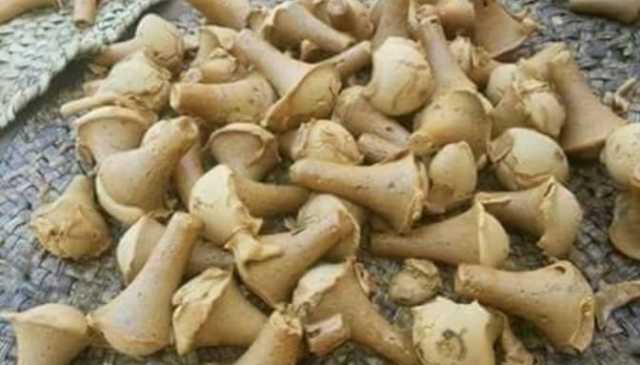 «آيس كريم الصعايدة».. الجلاب التراثي يحافظ على بريقه الذهبي في قنا