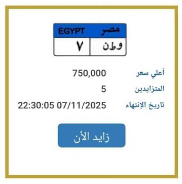 «اقتربت من مليون جنيه».. مزايدة نارية على لوحة سيارة مميزة