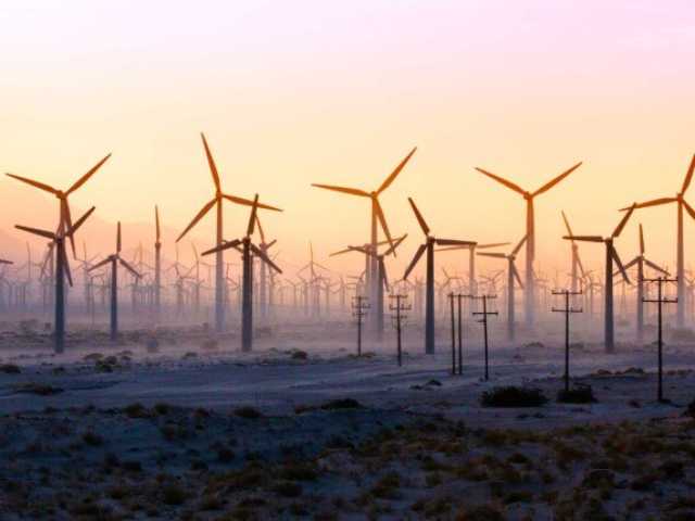 مجلس الوزراء يوافق على استكمال إجراءات طرح محطات توليد الكهرباء بجبل الزيت