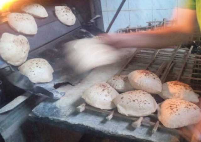 تموين القليوبية يضبط 50 مخالفة تموينية متنوعة على الأسواق والمخابز