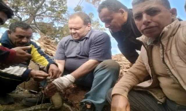 محافظ الشرقية يعلن نجاح اصطياد تمساح الزوامل بمركز بلبيس