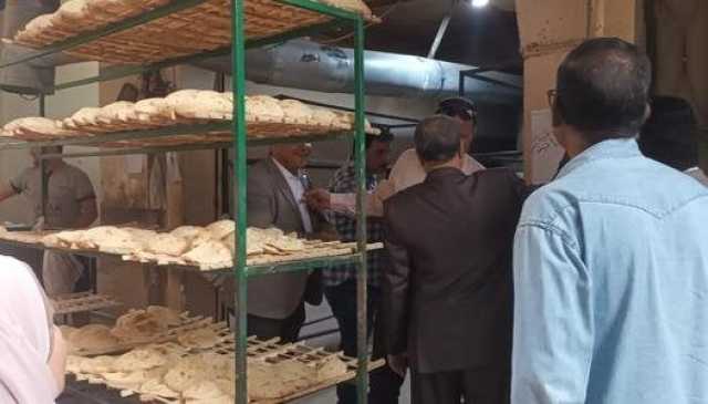 تموين القليوبية يضبط 48 مخالفة تموينية متنوعة على الأسواق والمخابز