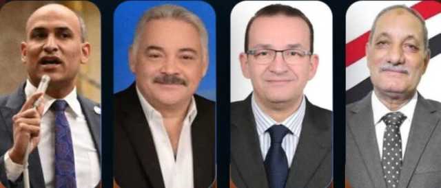 4 مرشحين يتنافسون.. نتائج الحصر العددي لانتخابات المنيا (الدائرة الرابعة)