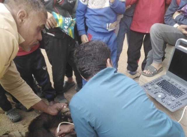 جامعة مدينة السادات تطلق قافلة شاملة ومشروعًا توعويًا بقرية كفر السنابسة ضمن مبادرة «حياة كريمة»