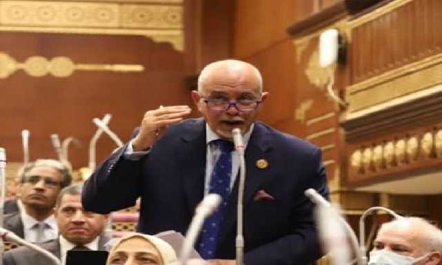 برلماني: قرار الرئيس بالعفو عن بعض السجناء يؤكد حرص الدولة على مصلحة الشباب