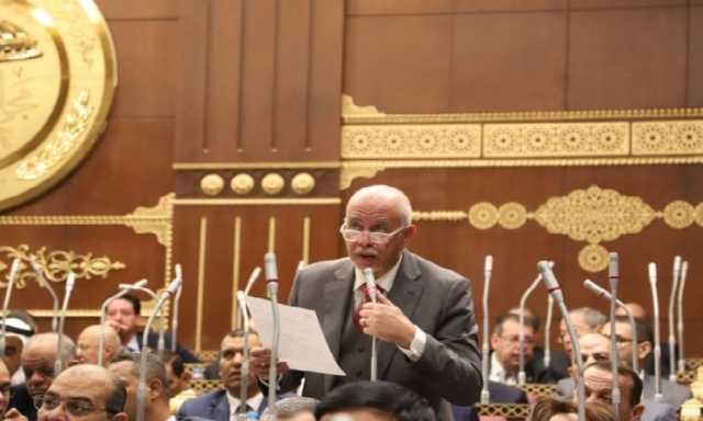 برلماني: دعم المشروعات الصغيرة والمتوسطة قاطرة لدفع التنمية الاقتصادية