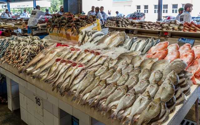 بلاها لحمة وهات جمبري.. تراجع أسعار السمك اليوم الاثنين 21 أغسطس 2023