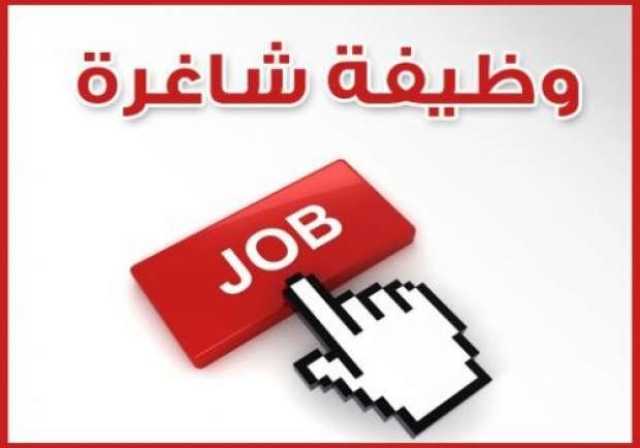 وظائف الكهرباء 2023.. اعرف التخصصات المطلوبة وشروط التقديم