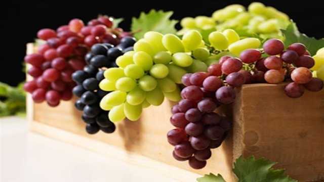 اعرف الفرق بين العنب الأحمر والأخضر وفوائد كل منهما